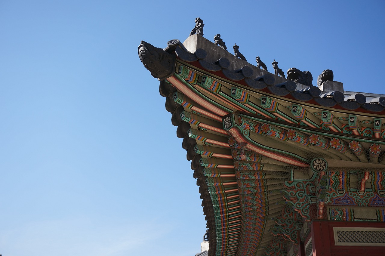 경주 바다에서 즐기는 완벽한 차박, 관성솔밭의 매력