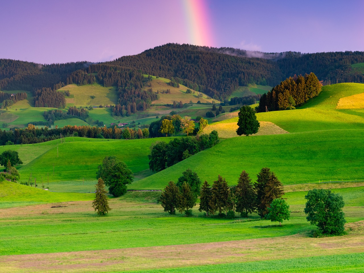 새해 소망 담은 해돋이 명소 및 2024년 일출 시간 완벽 가이드