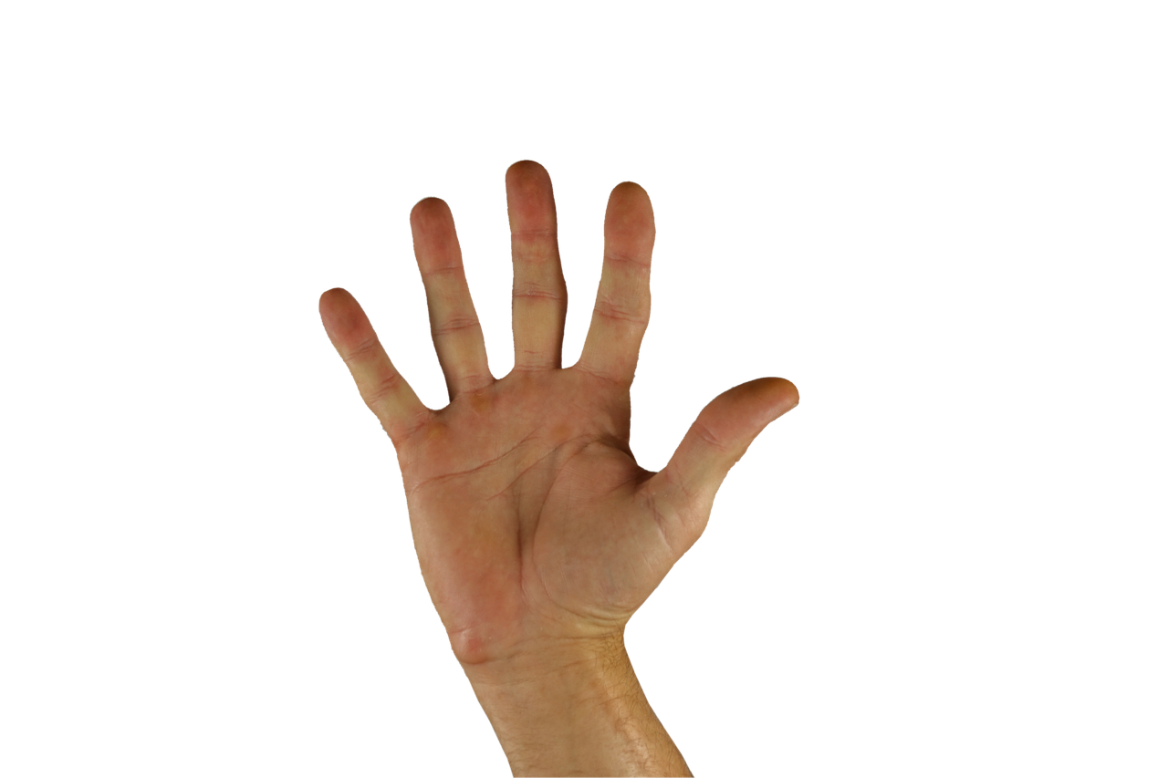 2021년 무료 신년운세, 어디서 볼 수 있을까요? 혼돈을 해소합니다!