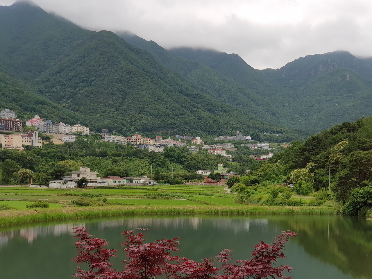 파주 마장호수맛집, 숨겨진 보석 같은 출렁다리 밥집 체험기