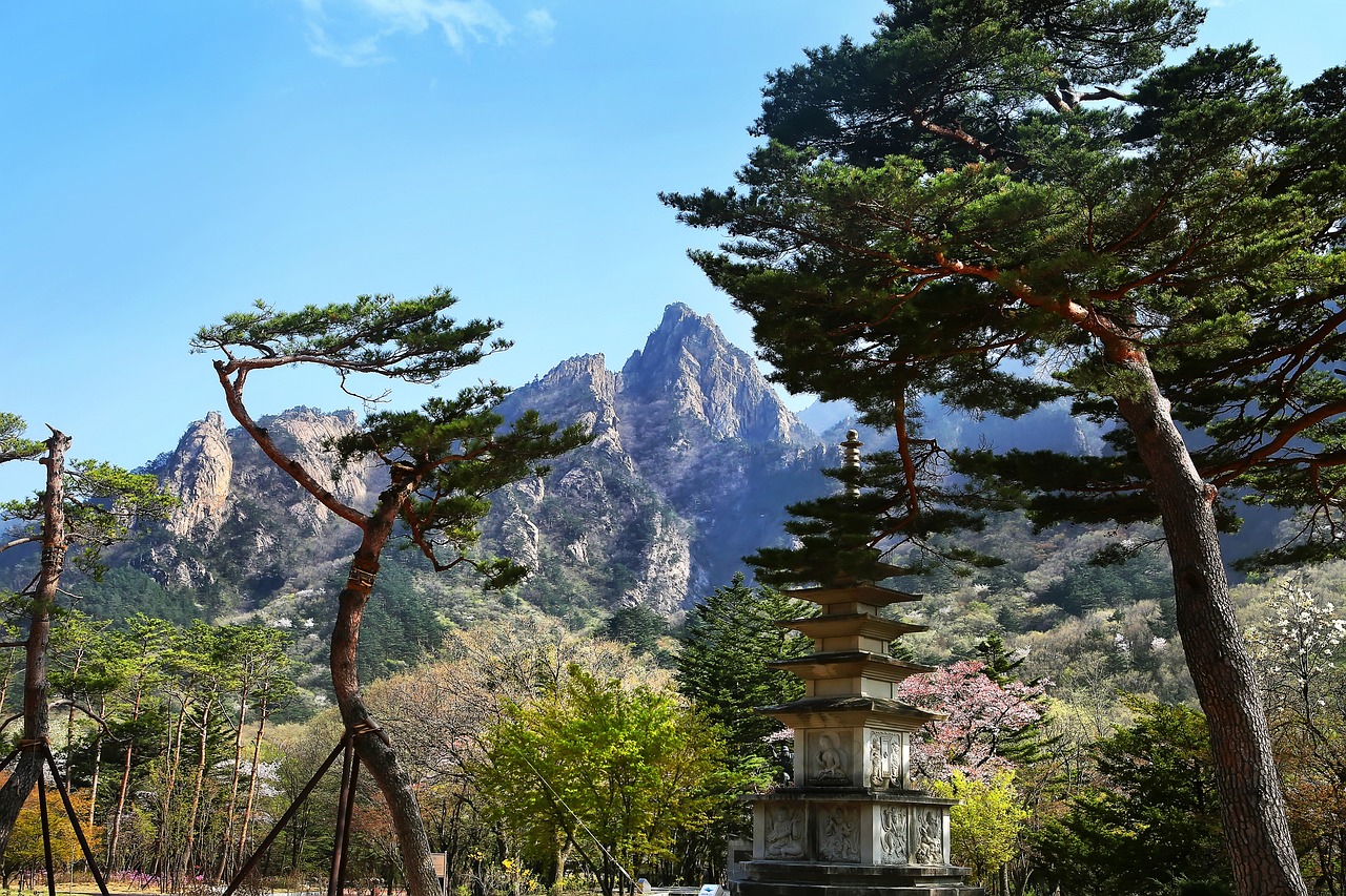 열기의 여름 속에서 경험한 속초 여행 이야기