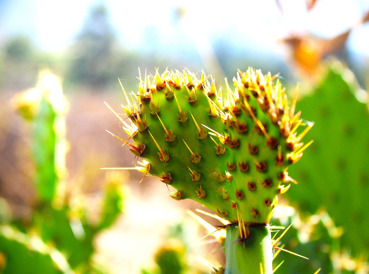 2023년, 만나이가 드디어 도입됩니다! 생소한 만나이를 쉽게 이해해보세요