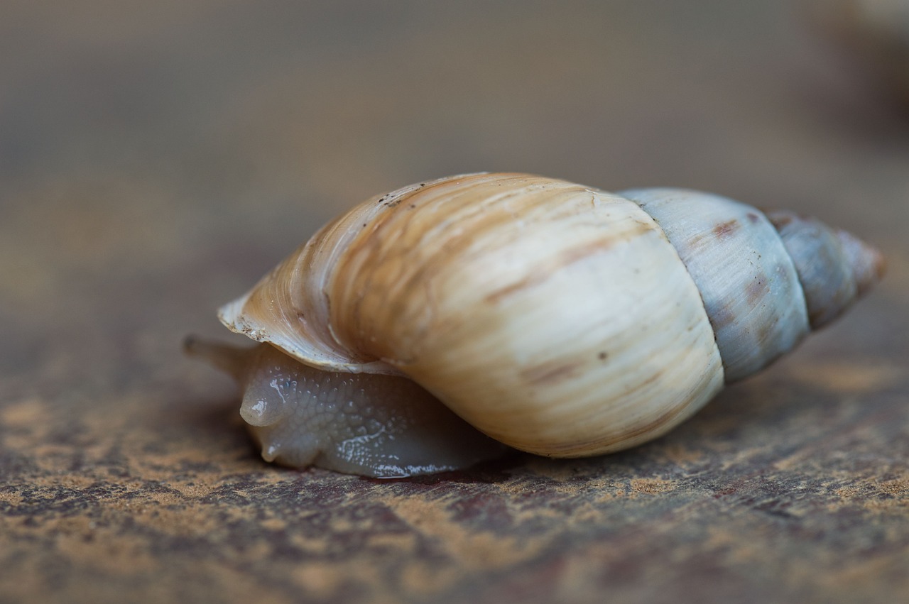 삼재의 진실: 3년의 재난이 아닌 지혜의 기회