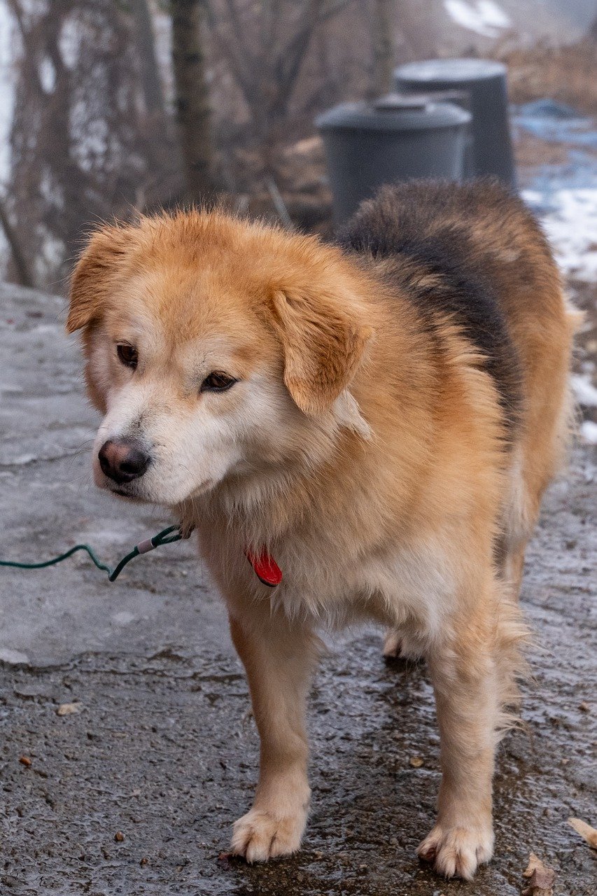 제주항공 수험생 할인 이벤트, 저렴하게 항공권 예매하는 법