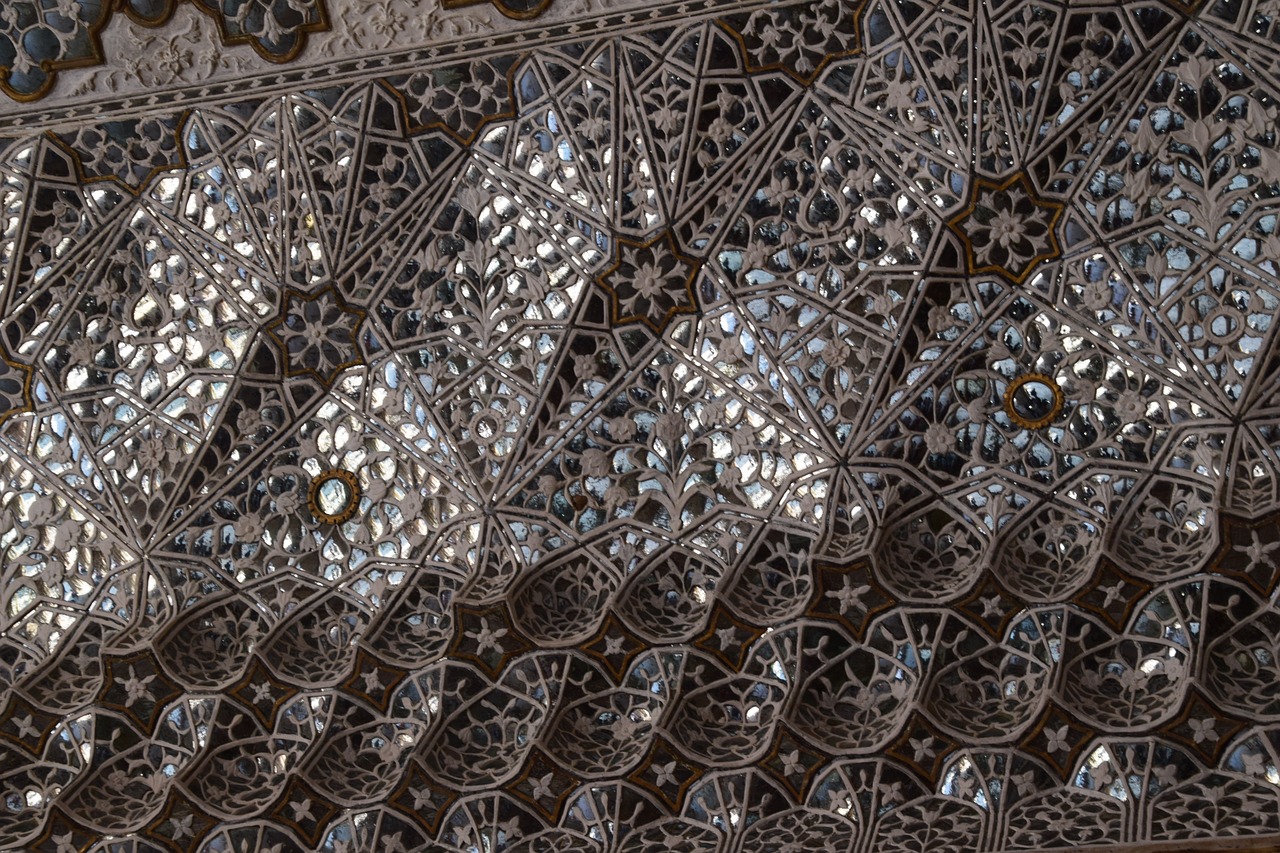 후회 없는 생오미자, 최고의 제품 TOP 5를 소개합니다!