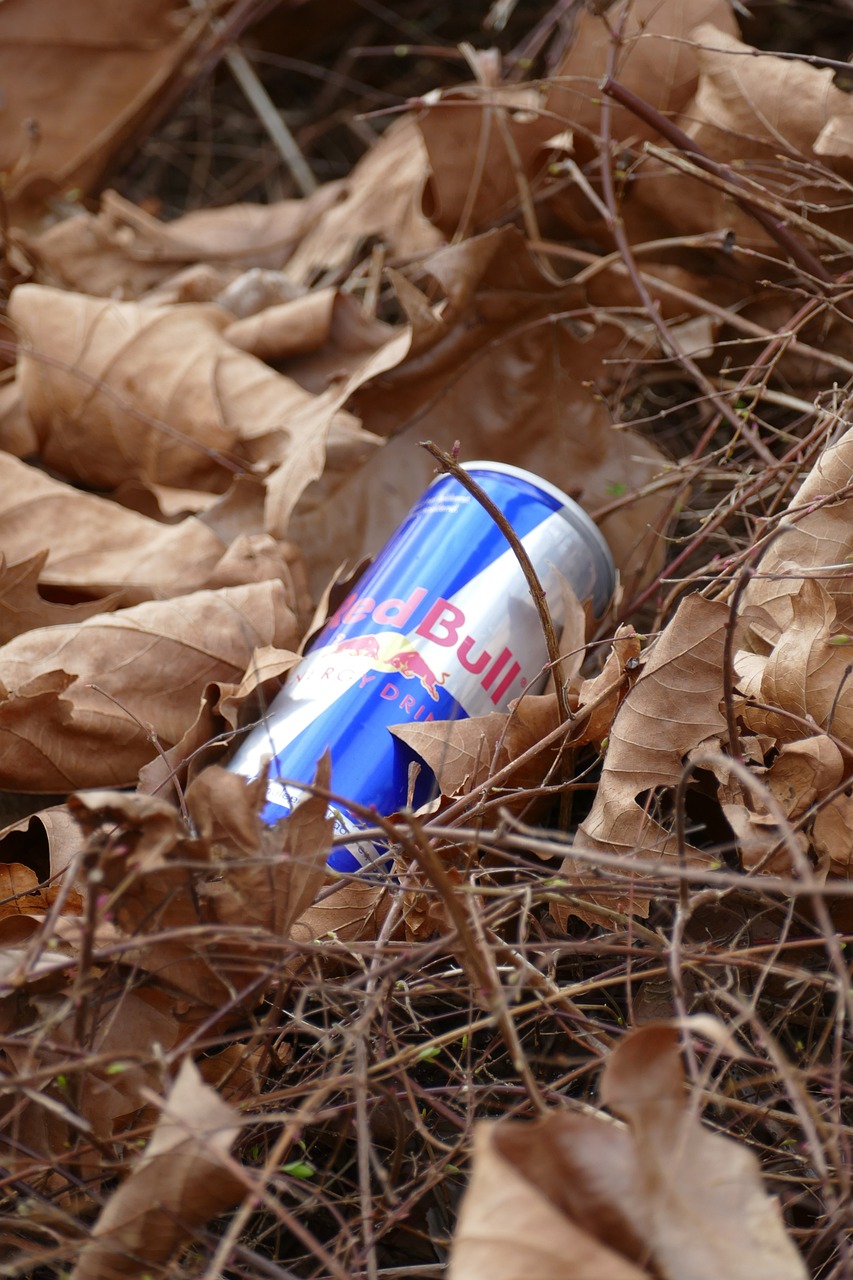 2024년 전기자전거 리뷰 – 놓치지 말아야 할 대박템 3선