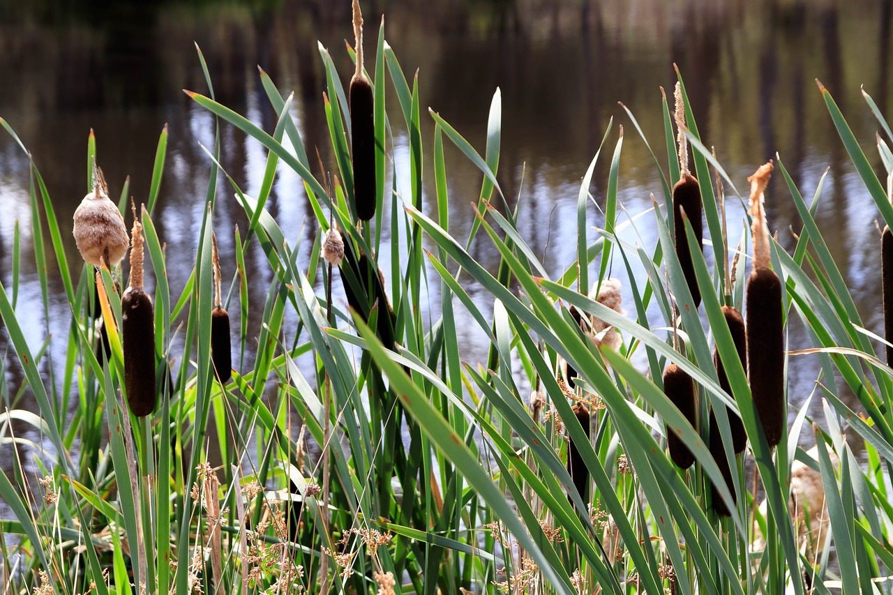 더현대 서울 팝업 스토어 7월, 당신의 여름을 즐겁게 할 특별한 행사들!