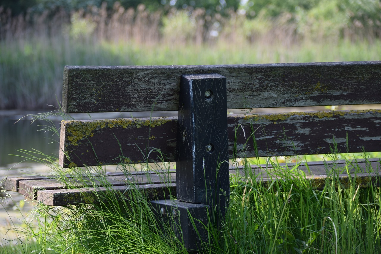장원영, 만년돌 그 자체로 월드투어를 성공적으로 시작하다