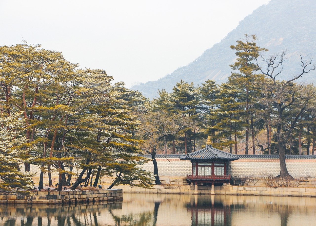 서울의 가을을 만끽하다: 남산공원과 백범광장의 단풍 탐방