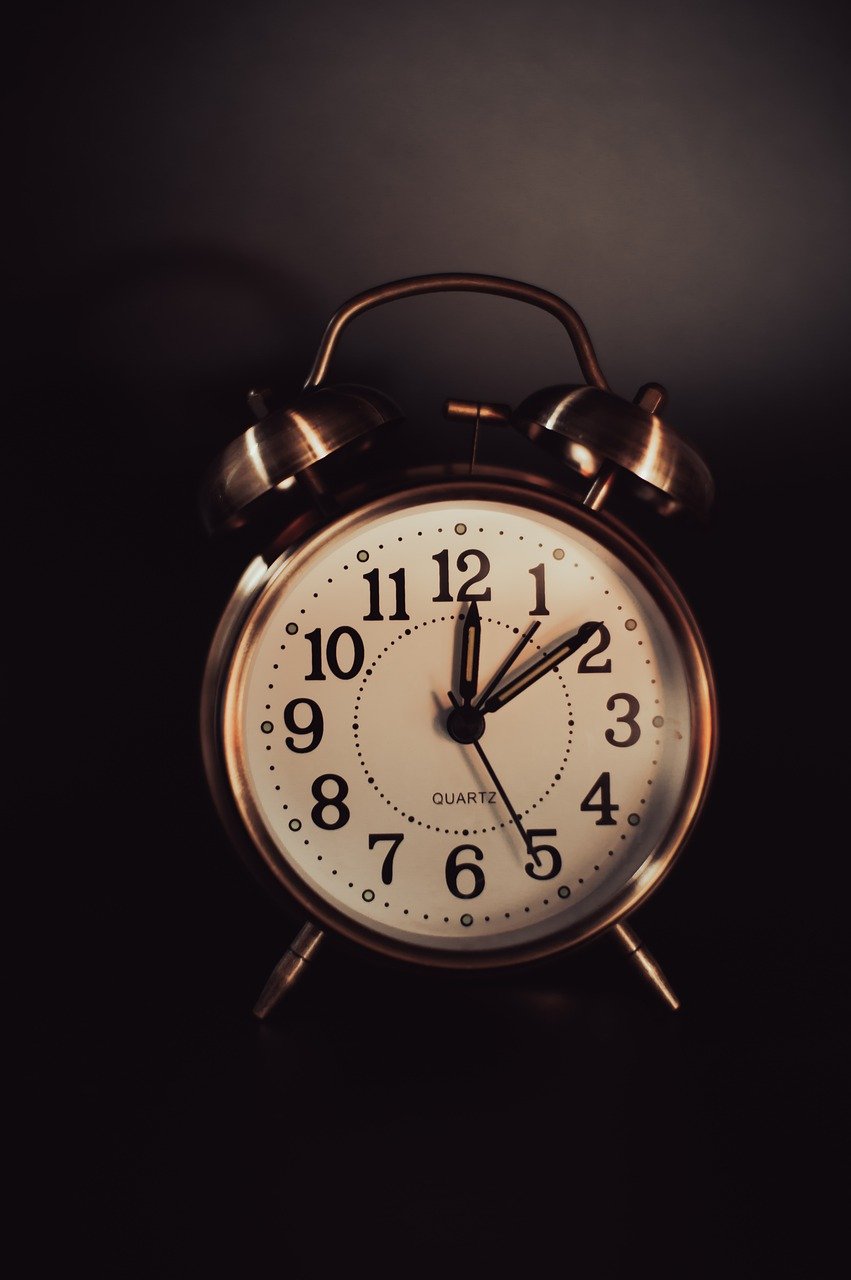 양파 재배의 모든 것: 품종, 비료, 병충해 관리 및 기르는 방법