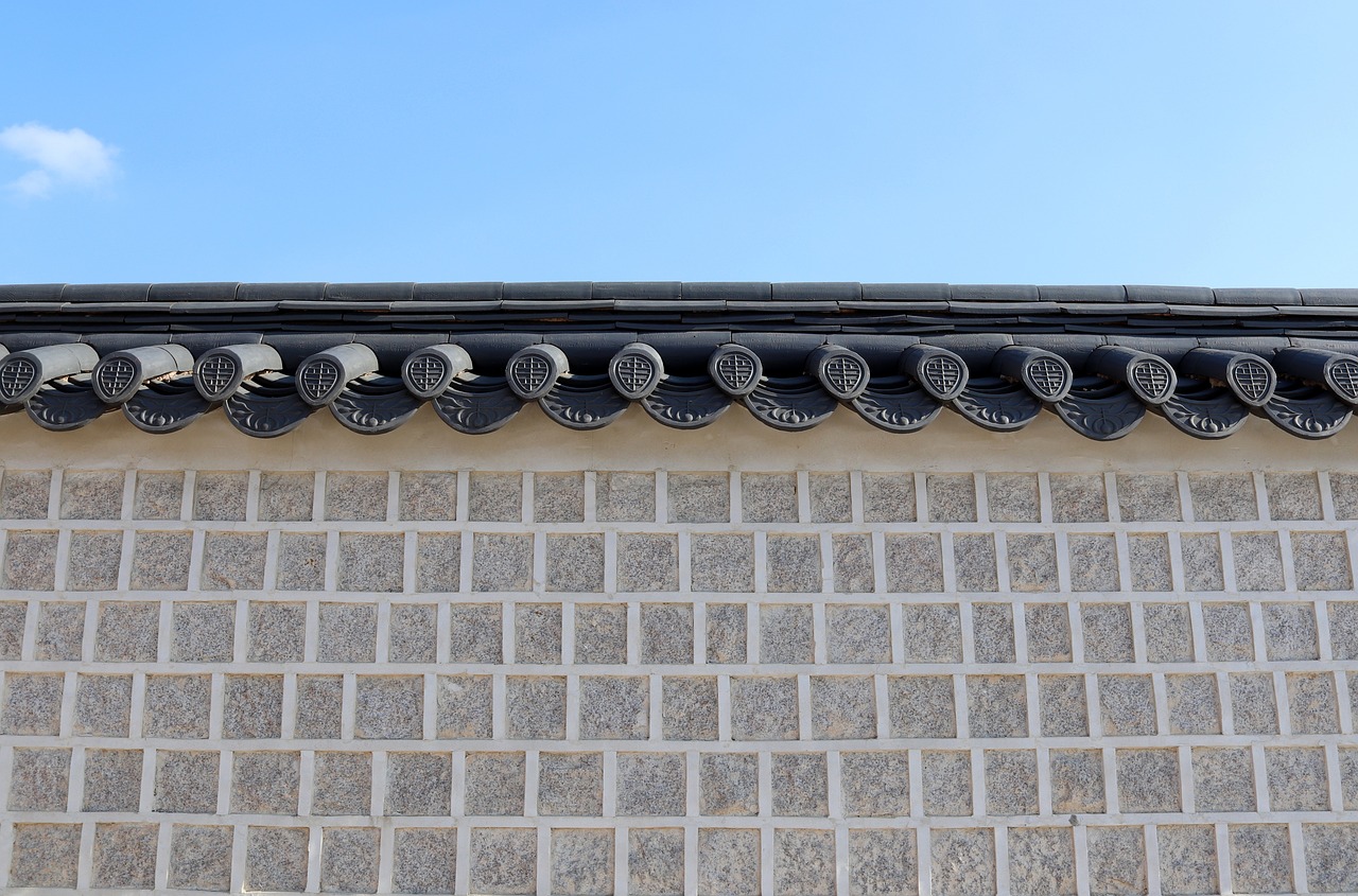 김장 배추, 언제 심어야 가장 맛있을까요?