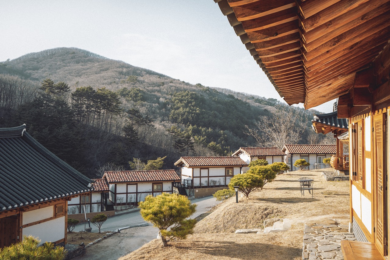 강화도에서의 행복한 하루, 여행의 모든 것을 경험해보세요