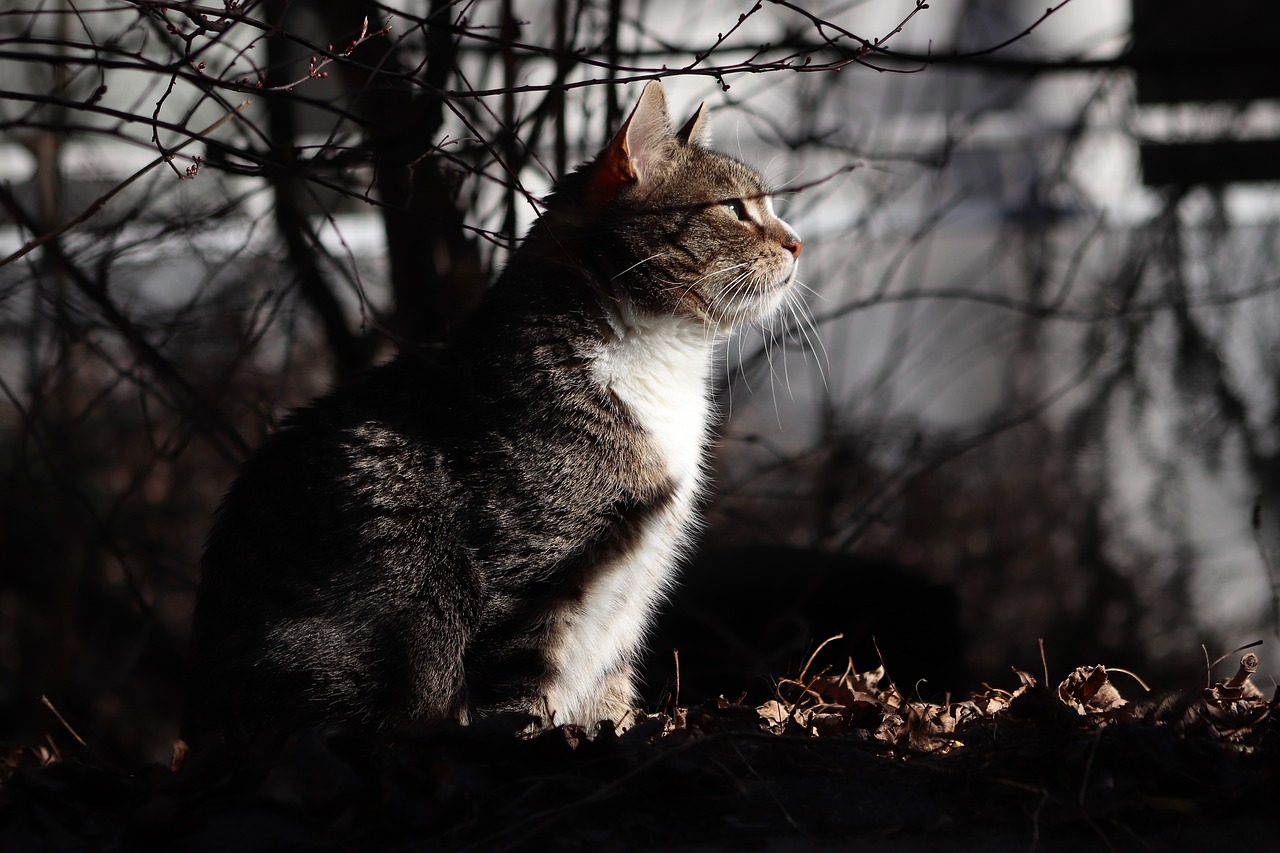경이로운 성능을 자랑하는 삼성 Galaxy S24, 기대가는 가성비 모델!