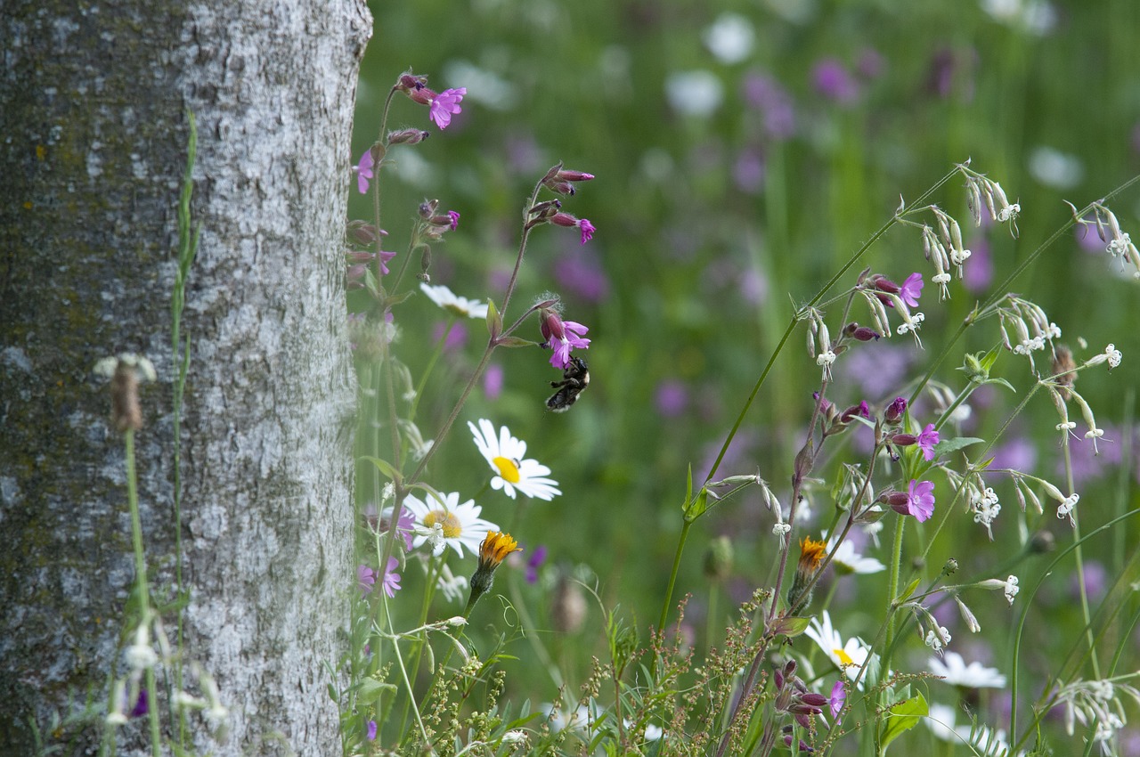 윤석열 후보의 패기, 기차에서 구두 신고 발 올리기! 도대체 무슨 생각인가?
