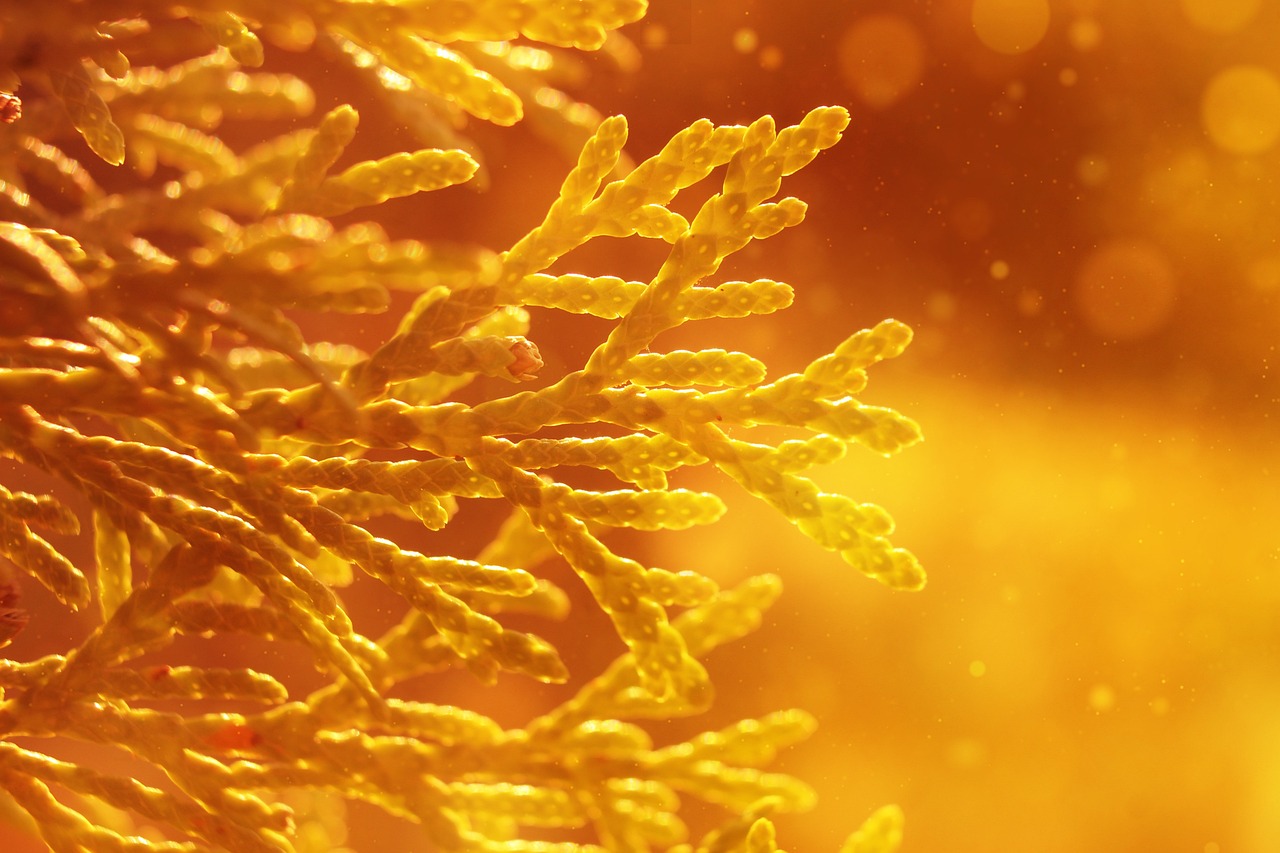 가상자산 과세 유예, 2년 후 우리의 미래는?