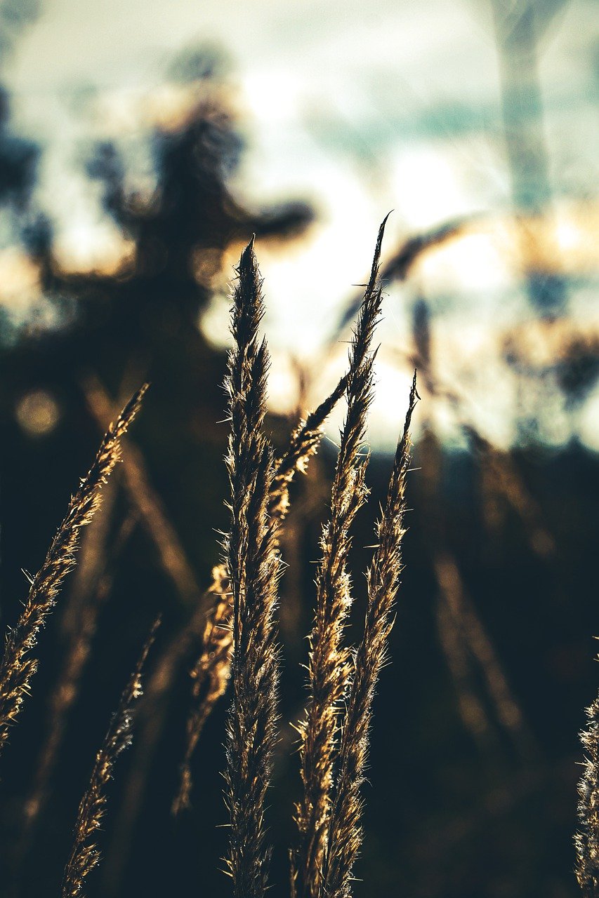 뉴럴클라우드 : 내 게임 경험을 공유합니다