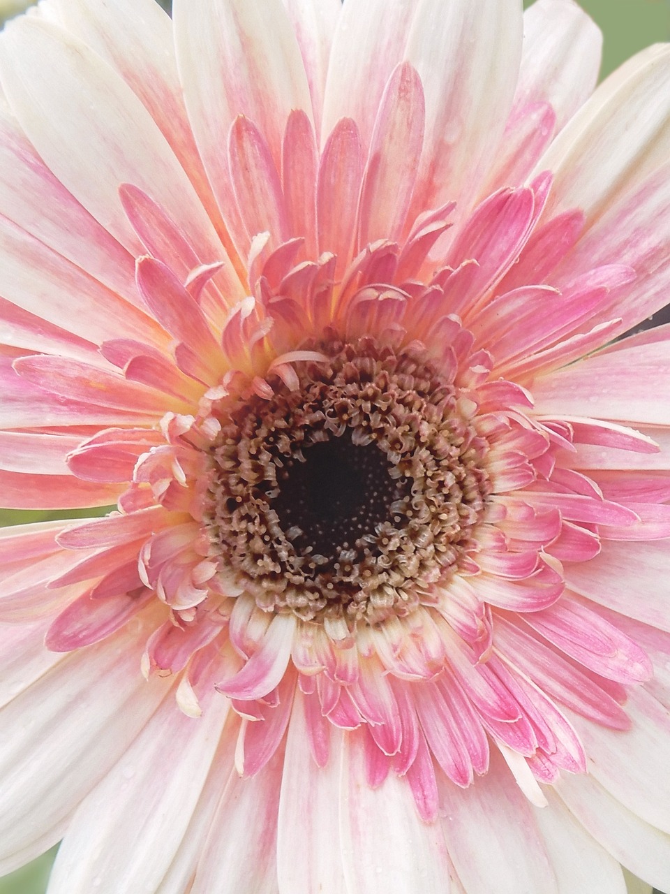 렌더 네트워크(RNDR)의 미래: 성장 가능성을 탐구하다