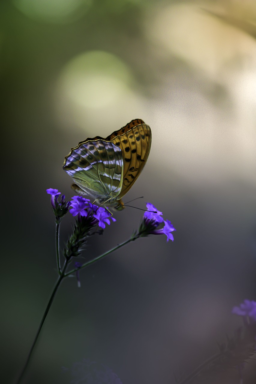 이상민 장관의 탄핵소추안: 책임을 묻는 전례 없는 결정