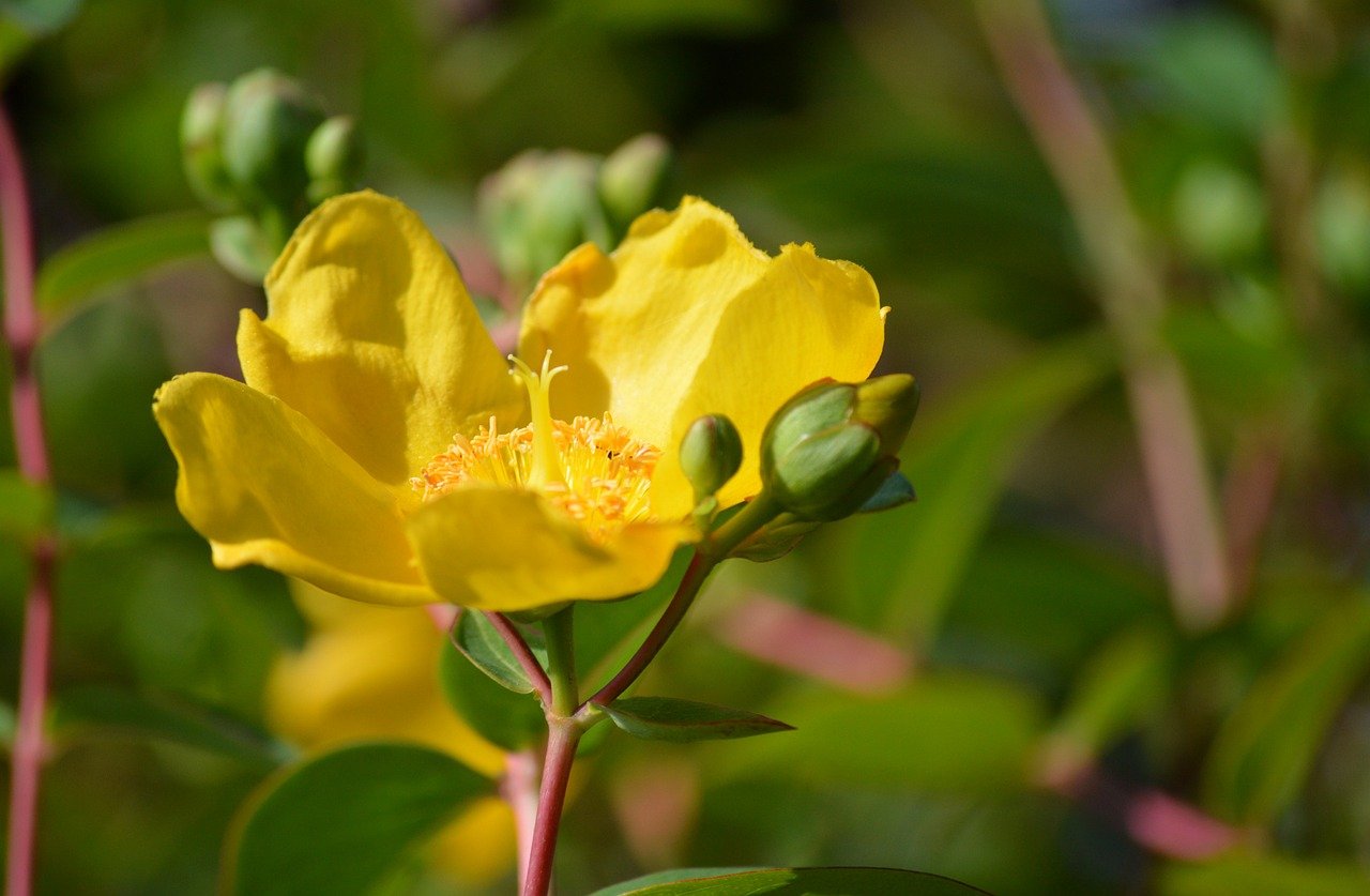 국세청 연말정산 간소화 서비스 홈페이지에 대한 모든 것