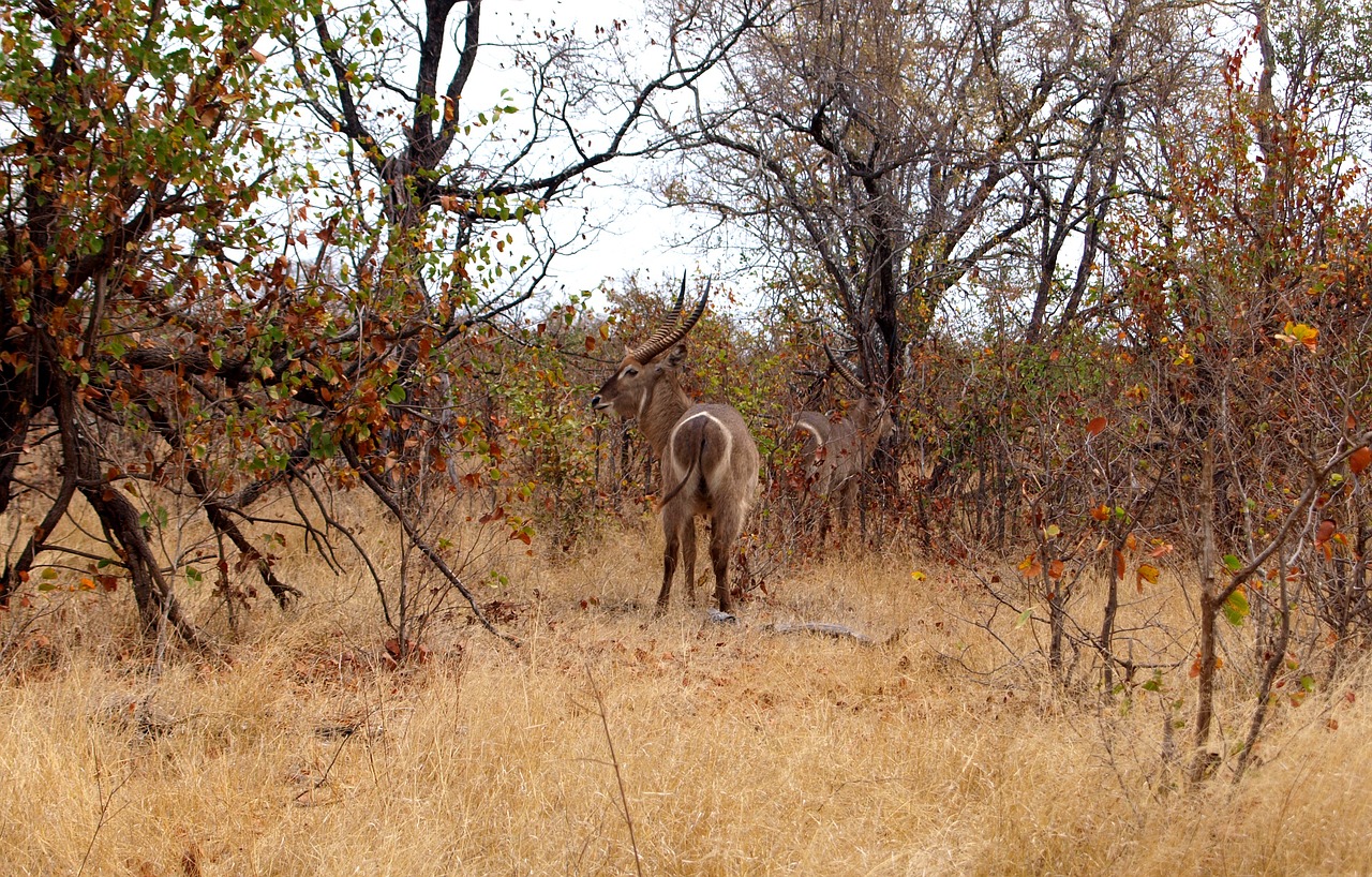 꿈과 감동이 만나는 드라마, 사랑은 외나무다리에서