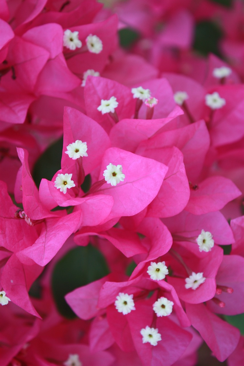 국민건강보험 환급금, 당신이 꼭 알아둬야 할 환급 신청 방법과 절차