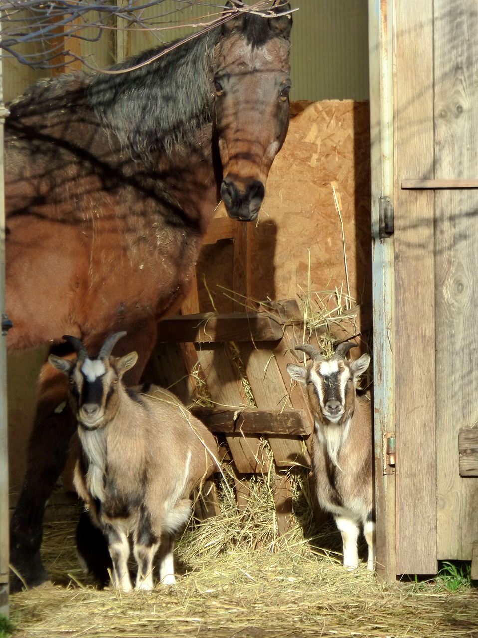 건설근로자 퇴직공제회: 안정된 미래를 위한 필수 제도