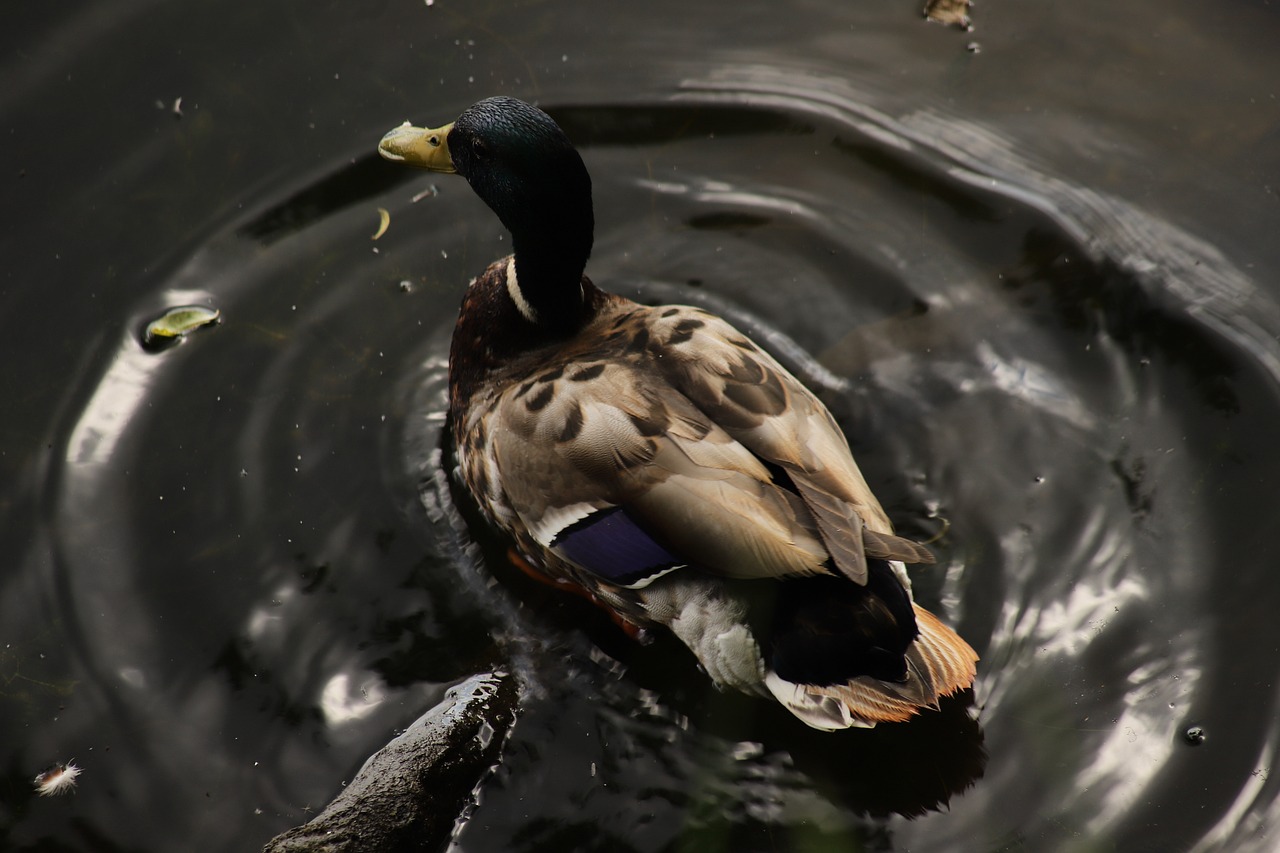 2025년 무료 엑셀과 워드, PDF 달력 다운로드 방법 – 새로운 시작을 위한 당신의 필수 가이드