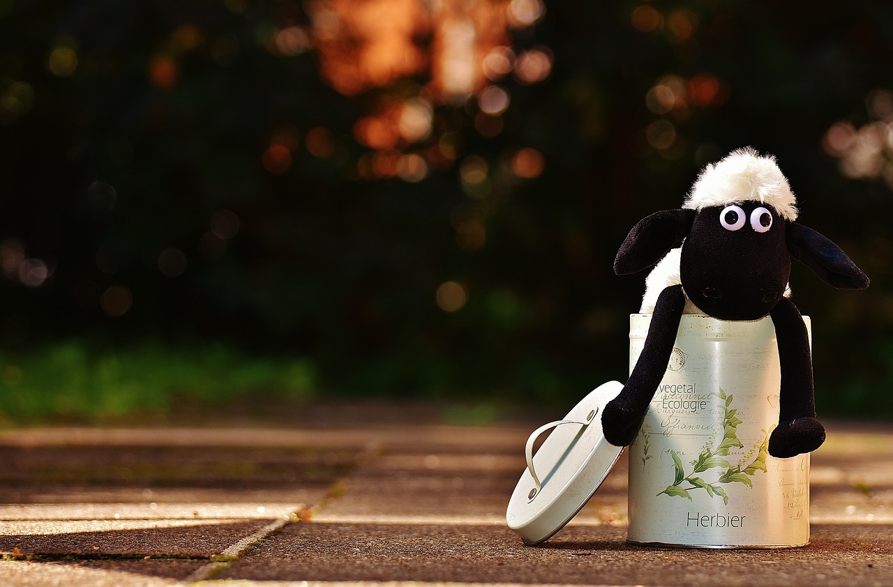 엄마의 마음으로 고르는 우리의 딸 이름, 과연 어떤 것일까요?