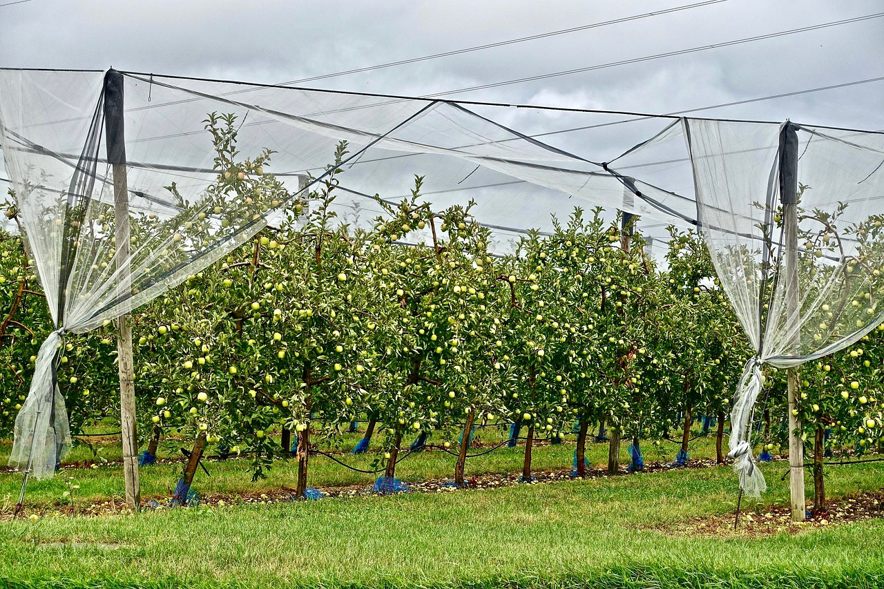 안전신문고 포상금, 이제는 쉽게 챙기는 법!