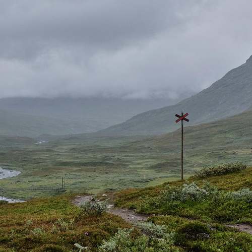 한국 최초의 LIV 골프 코리아, 티켓팅 일정 및 정보 완벽 가이드