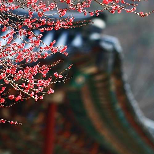 여름철 피부를 지키는 자외선 차단제: 반드시 알아야 할 필수 정보