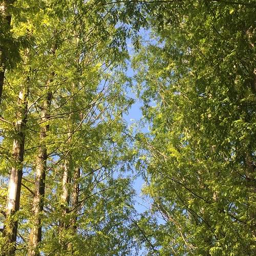 2022년 첫 만남 이용권: 지원금으로 육아 부담 덜기