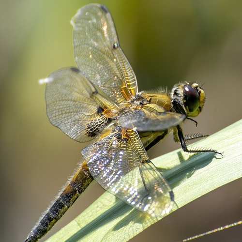 2025년 소상공인 빚탕감: 당신이 알아야 할 모든 조건과 신청 방법