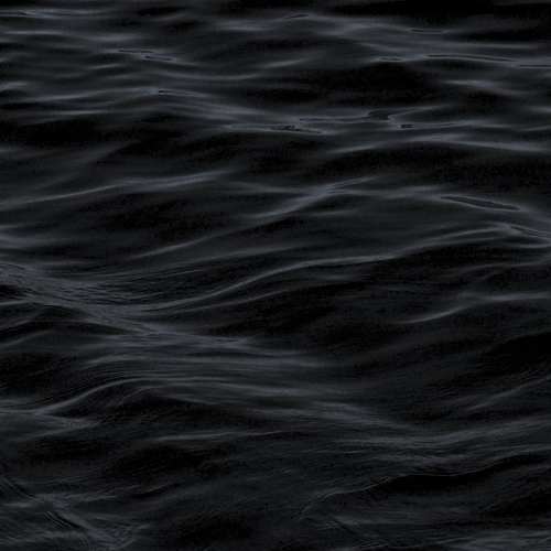 2025 워터밤, 여름을 뜨겁게 장식할 완벽한 축제 가이드!