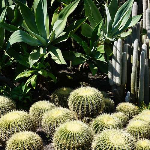 소상공인 새출발기금: 90% 빚 탕감의 모든 것