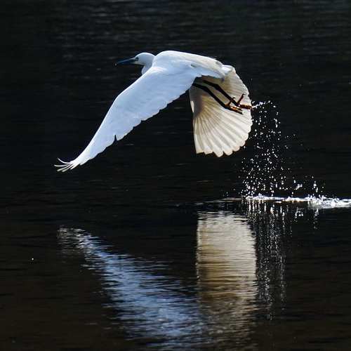 2025 남성 육아휴직, 어떻게 활용할까?