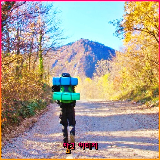 오사카 난바의 숨겨진 보물, 오코노미야끼 맛집 하츠세에 대해 알아봅시다