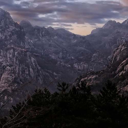 손가락 류마티스 관절염 초기증상: 조기에 알아두어야 할 필수 정보