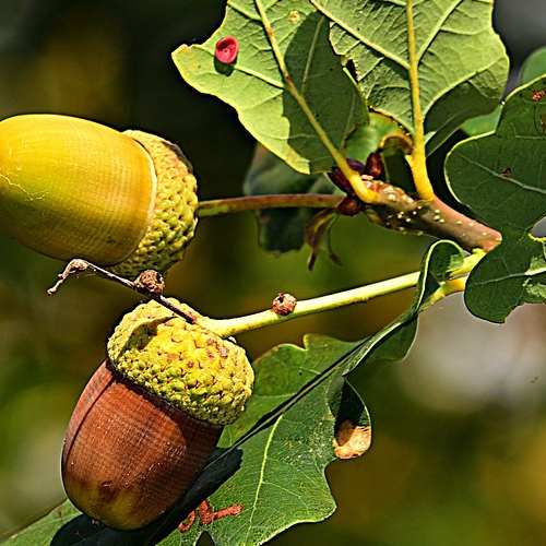 경기도 성남의 창고형 약국, 메가팩토리에서의 꿀팁과 할인 정보