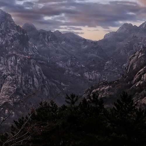 합리적인 구매: 현명한 소비를 위한 필수 가이드