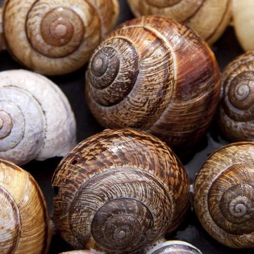 신용카드 연체, 이렇게 대처하세요!