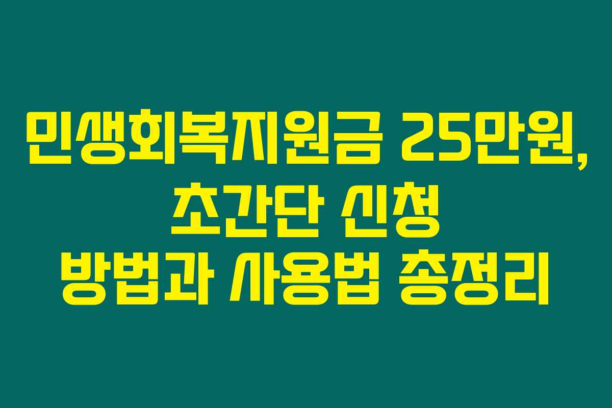민생회복지원금 25만원, 초간단 신청 방법과 사용법 총정리