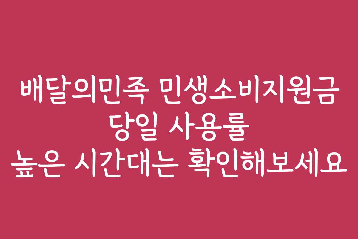 배달의민족 민생소비지원금 당일 사용률 높은 시간대는 확인해보세요