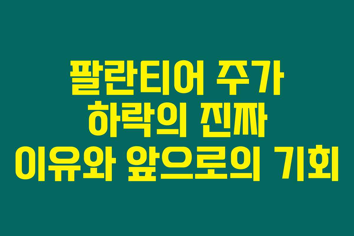 팔란티어 주가 하락의 진짜 이유와 앞으로의 기회