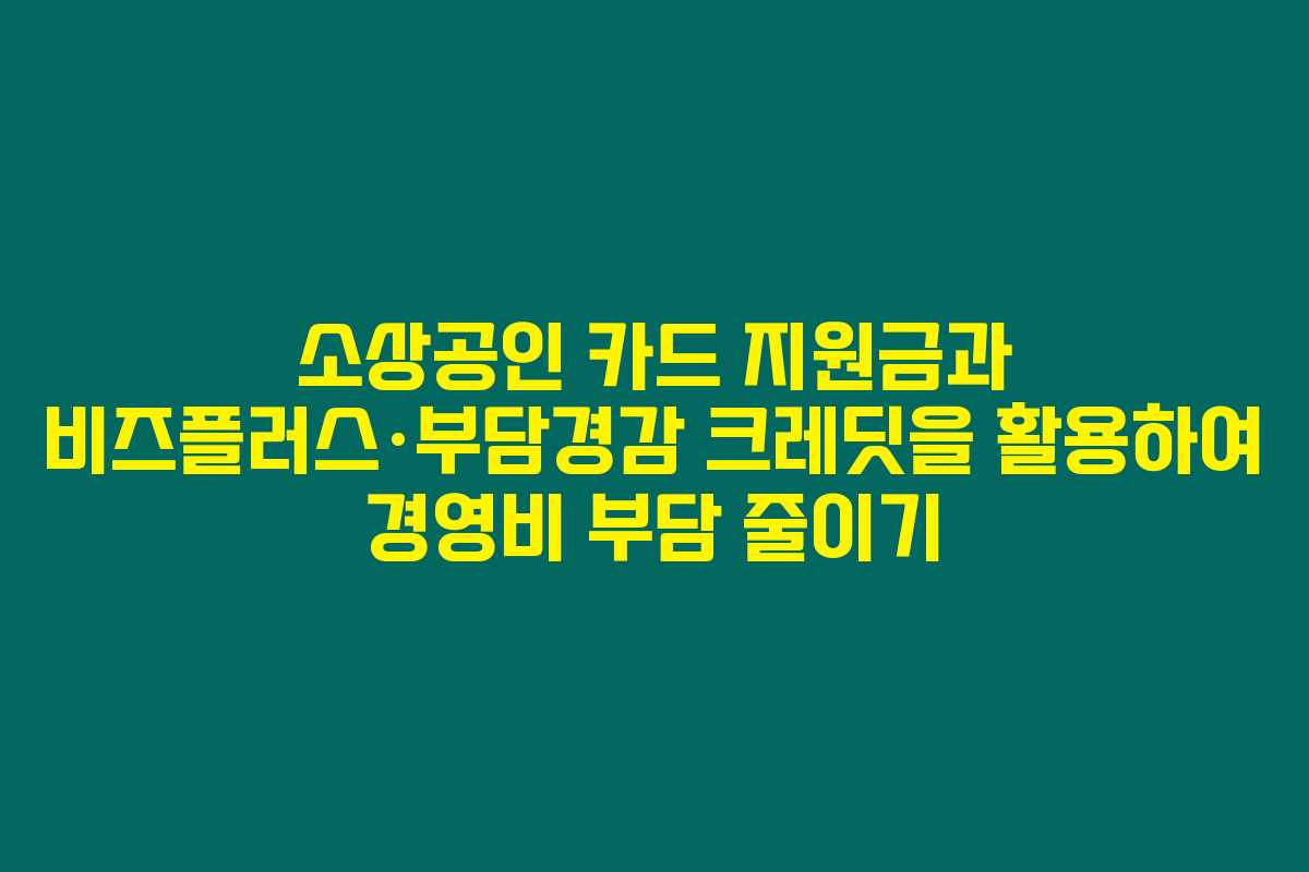 소상공인 카드 지원금과 비즈플러스·부담경감 크레딧을 활용하여 경영비 부담 줄이기