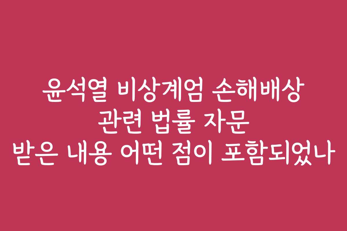 윤석열 비상계엄 손해배상 관련 법률 자문 받은 내용 어떤 점이 포함되었나