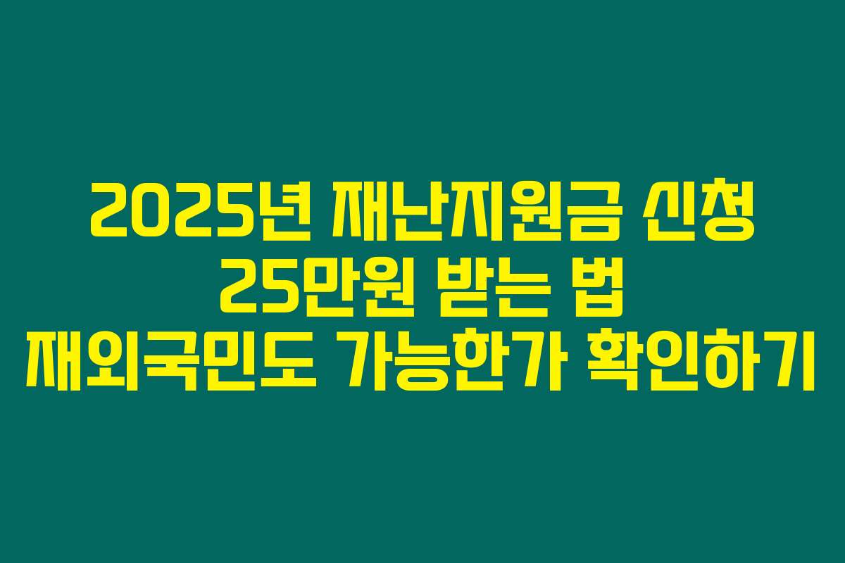 2025년 재난지원금 신청 25만원 받는 법 재외국민도 가능한가 확인하기