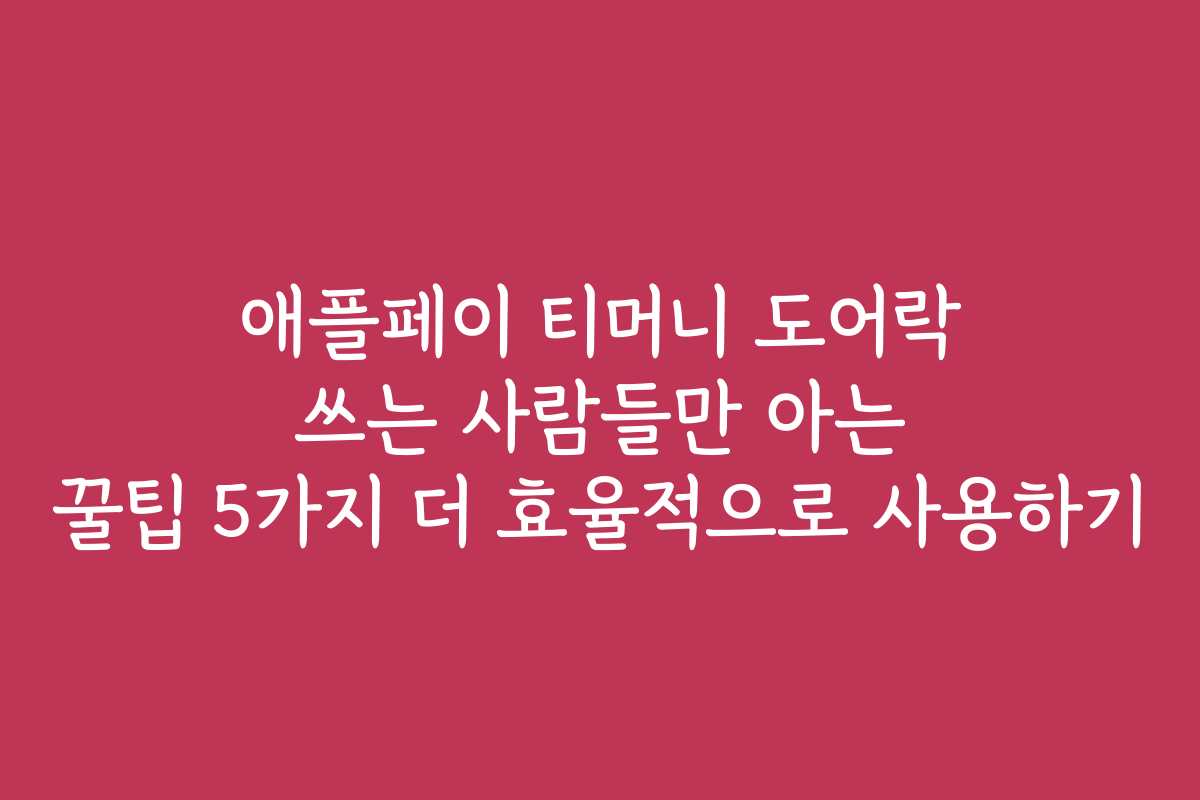 애플페이 티머니 도어락 쓰는 사람들만 아는 꿀팁 5가지 더 효율적으로 사용하기