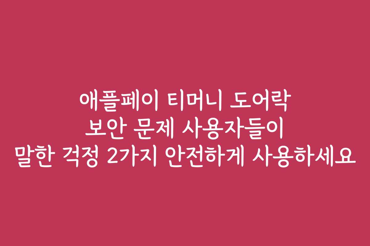 애플페이 티머니 도어락 보안 문제 사용자들이 말한 걱정 2가지 안전하게 사용하세요