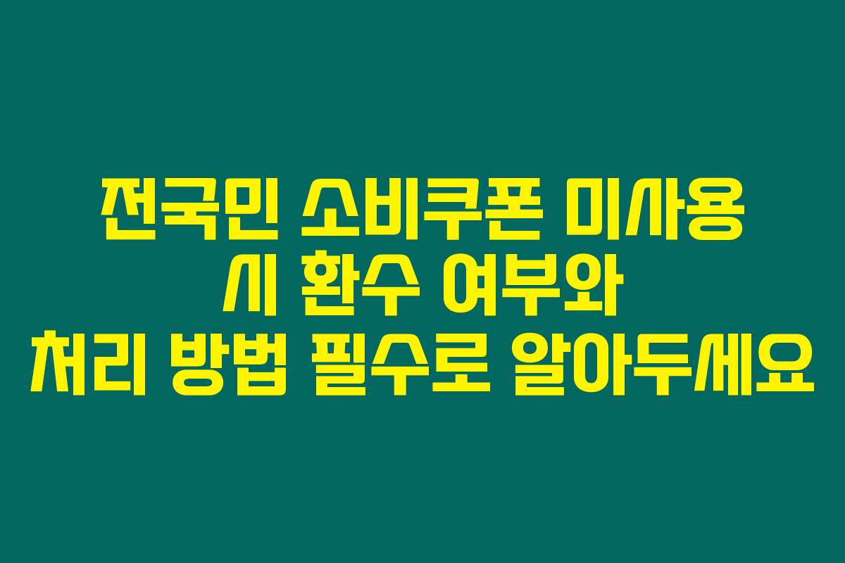 전국민 소비쿠폰 미사용 시 환수 여부와 처리 방법 필수로 알아두세요